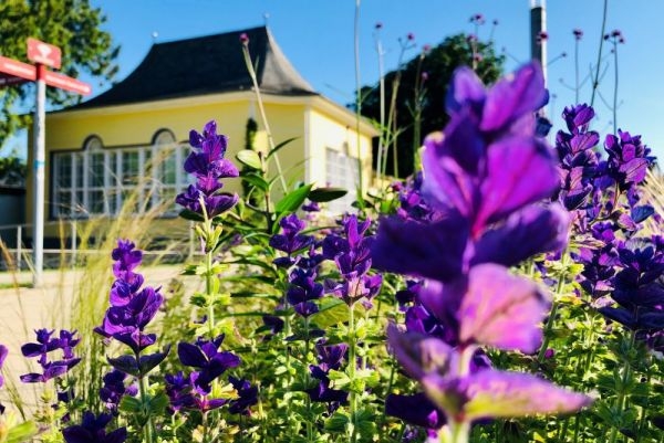 Blütenzauber –  Landesgartenschau Bad Nenndorf